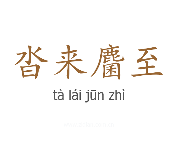 沓来麕至