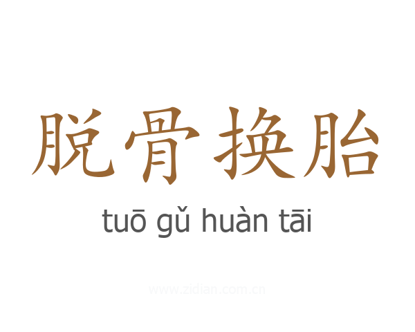 脱骨换胎