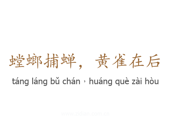 螳螂捕蝉,黄雀在后