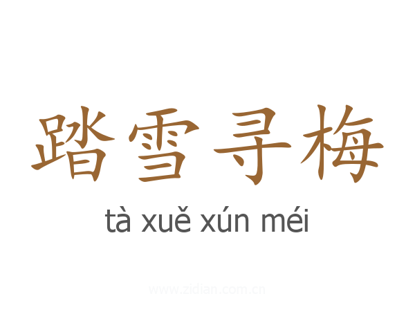 踏雪寻梅
