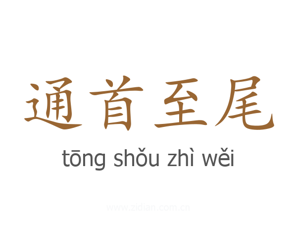 通首至尾