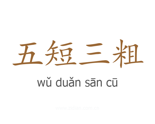 五短三粗