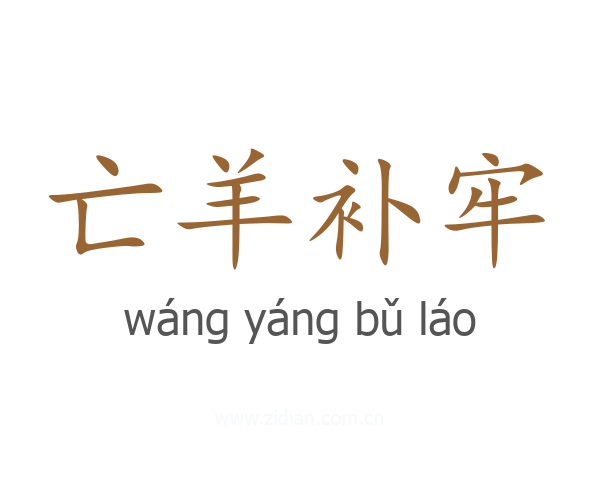 亡羊补牢