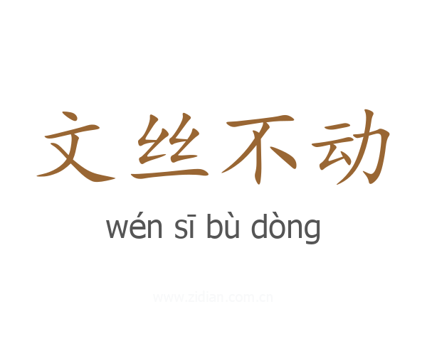 文丝不动