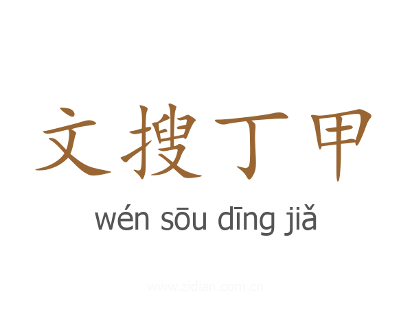 文搜丁甲