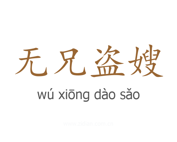 无兄盗嫂