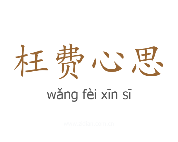 枉费心思