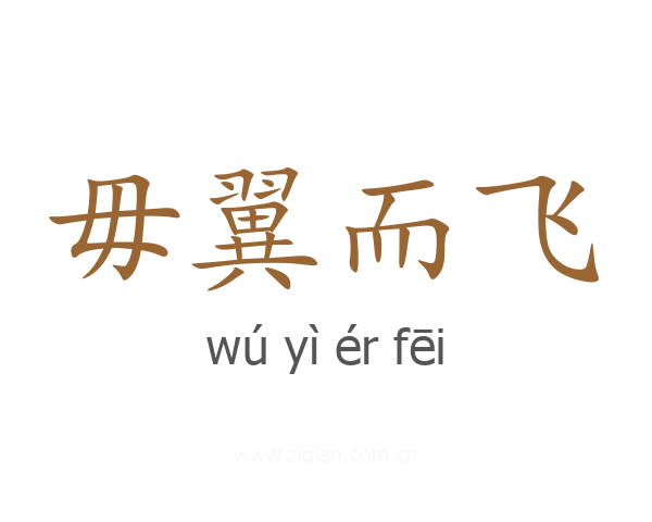毋翼而飞
