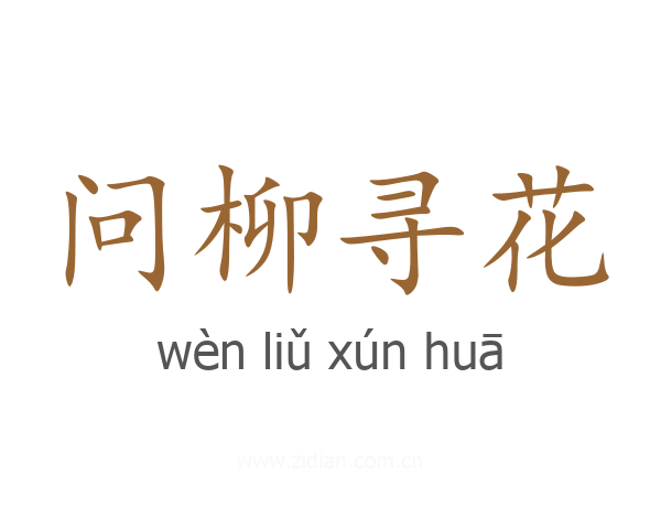问柳寻花