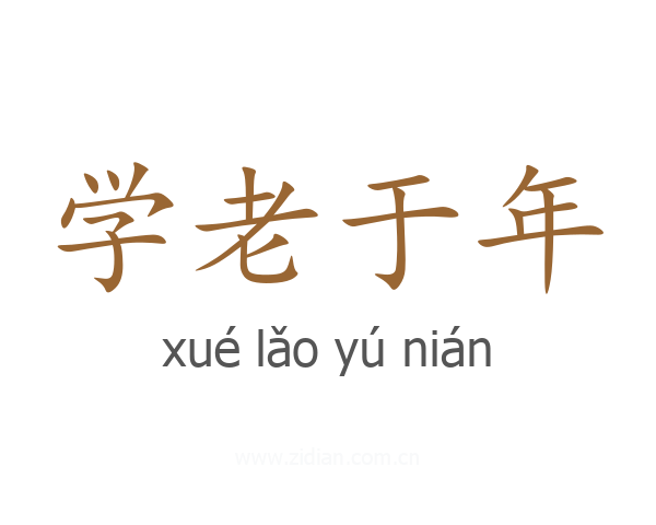 学老于年