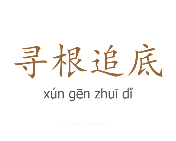 寻根追底