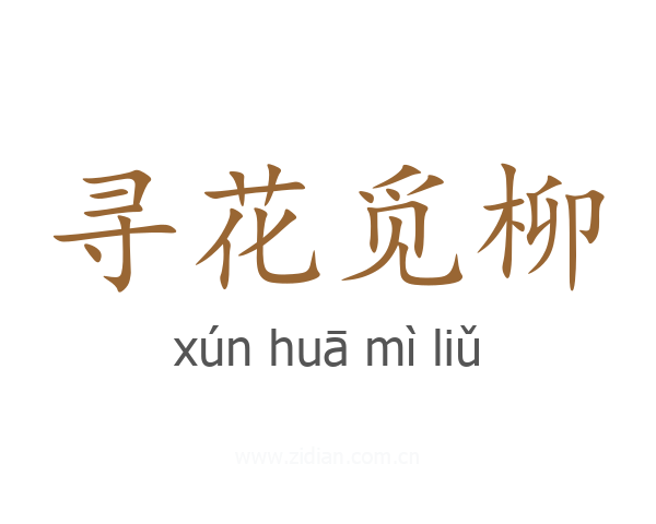 寻花觅柳