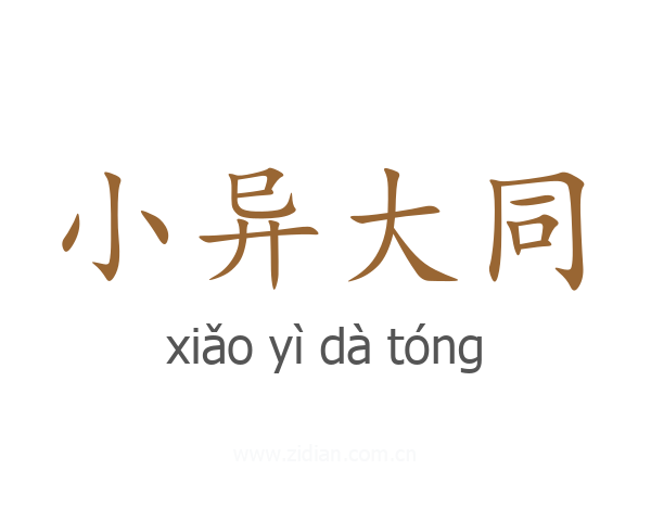 小异大同