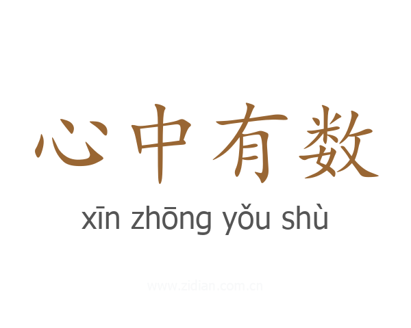 心中有数