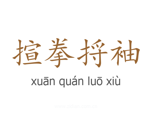 揎拳捋袖