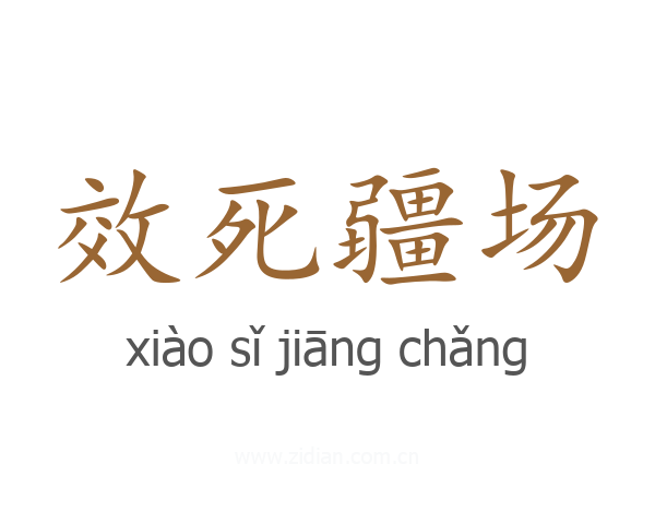 效死疆场