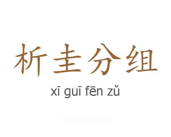析圭分组