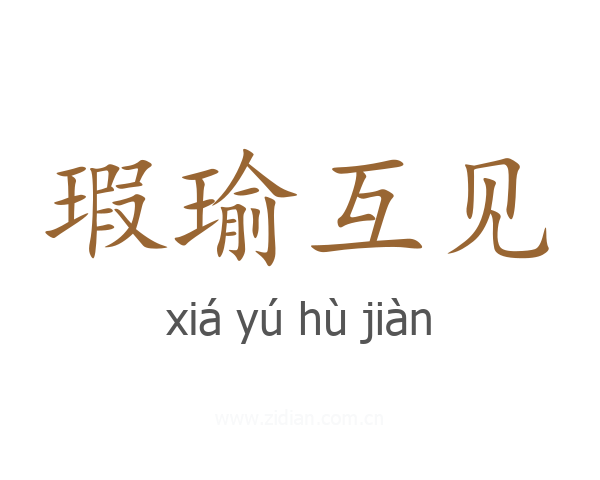 瑕瑜互见