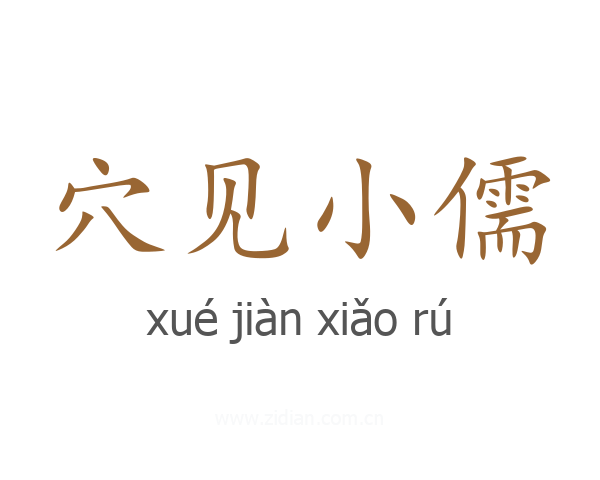 穴见小儒
