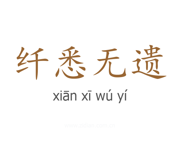纤悉无遗
