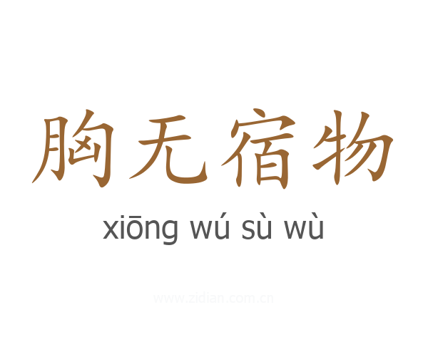 胸无宿物