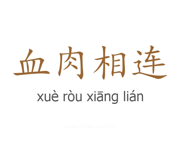 血肉相连