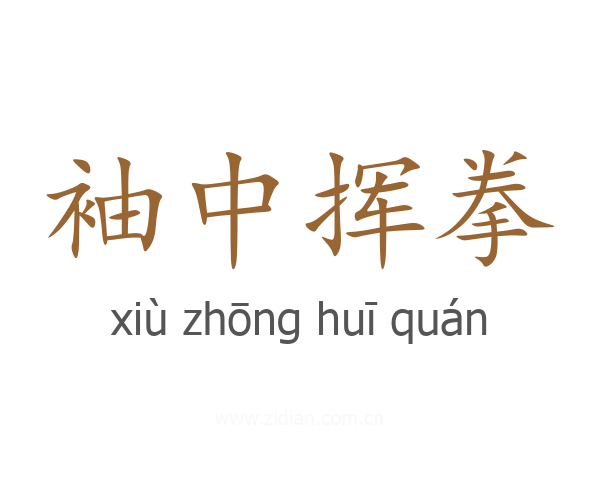 袖中挥拳