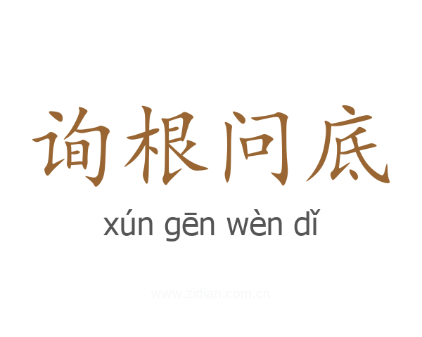 询根问底