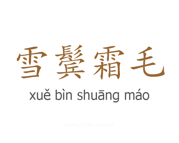 雪鬓霜毛