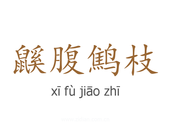 鼷腹鹪枝