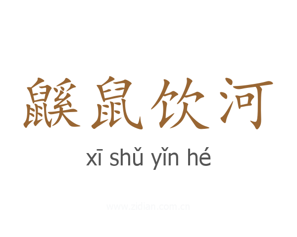 鼷鼠饮河