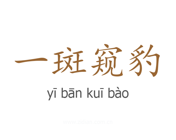 一斑窥豹