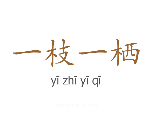 一枝一栖