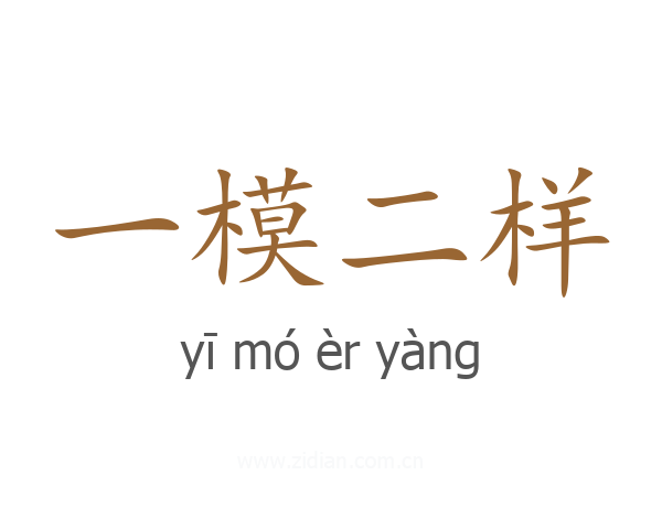 一模二样