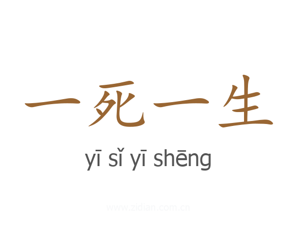 一死一生