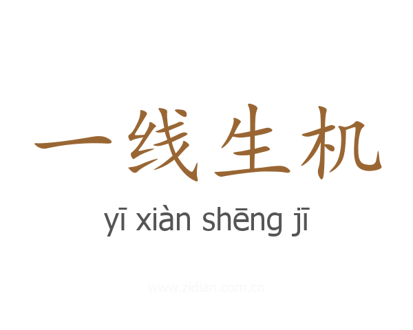 一线生机