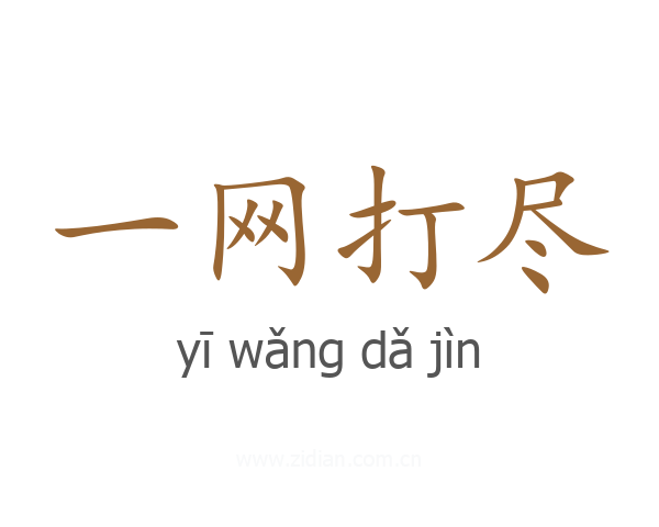 一网打尽