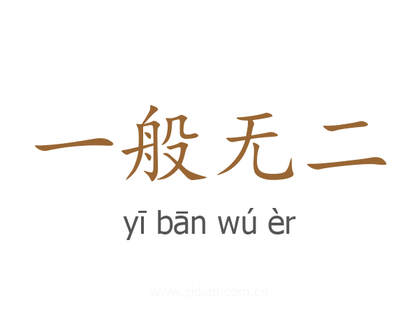 一般无二