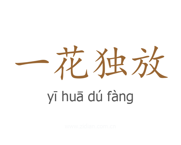 一花独放