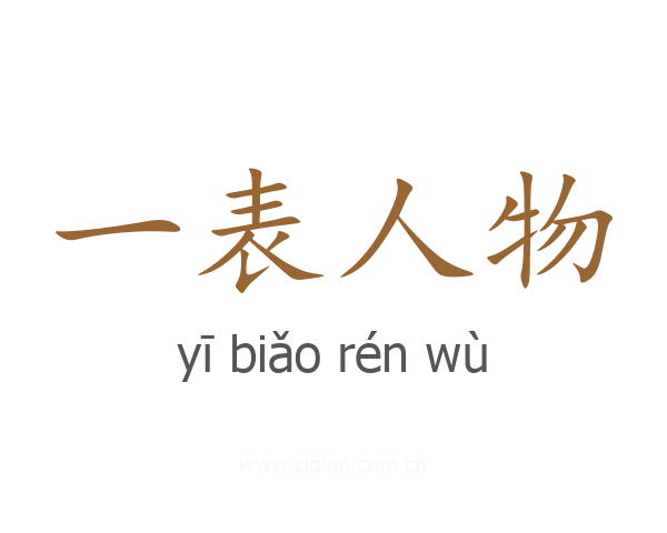 一表人物