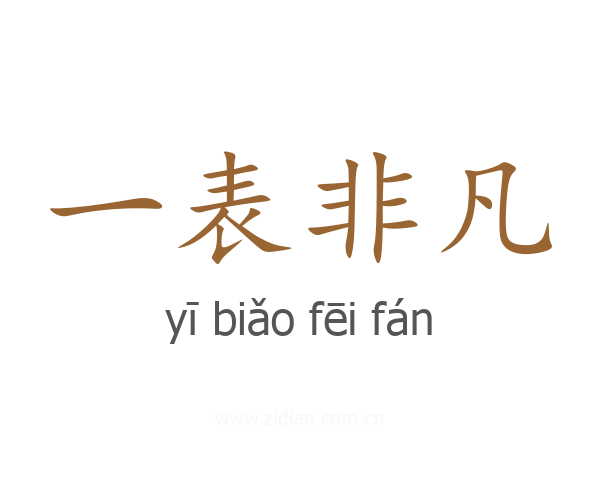 一表非凡