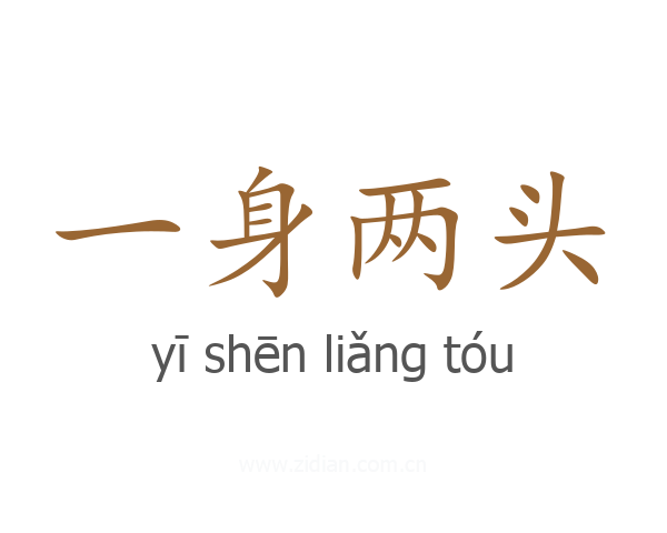 一身两头