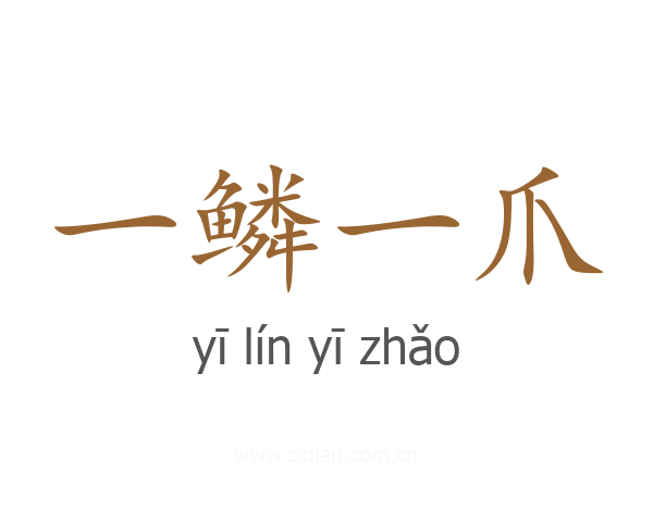 一鳞一爪