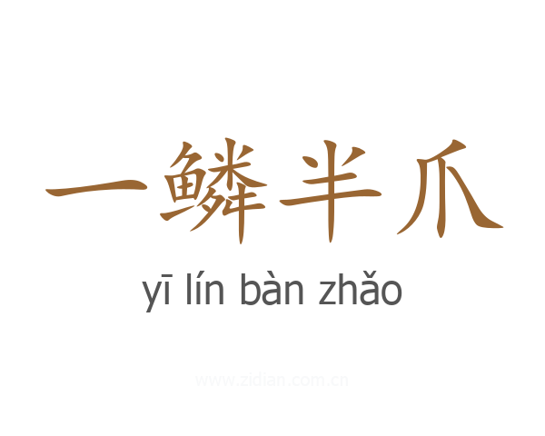 一鳞半爪