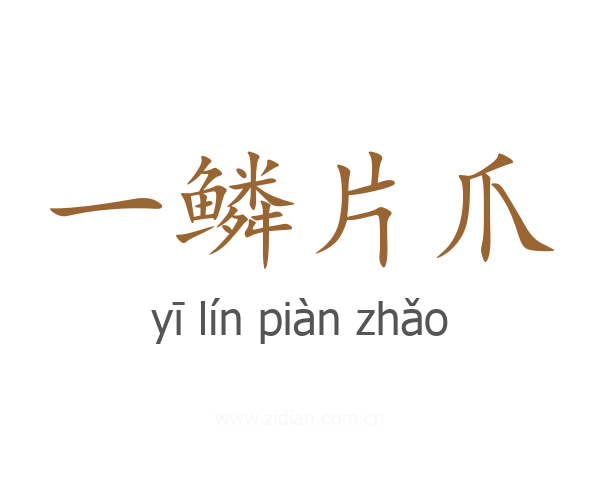 一鳞片爪