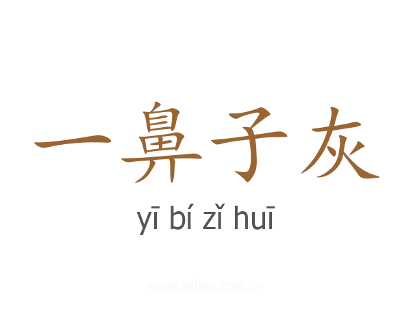 一鼻子灰