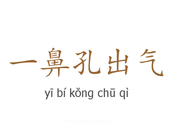 一鼻孔出气