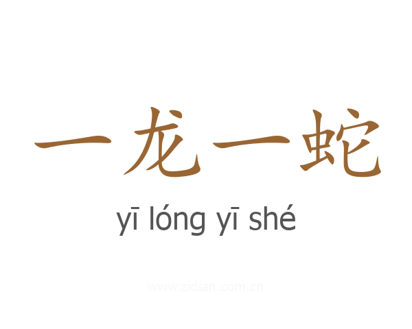 一龙一蛇