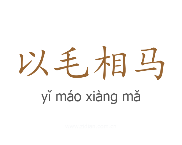 以毛相马