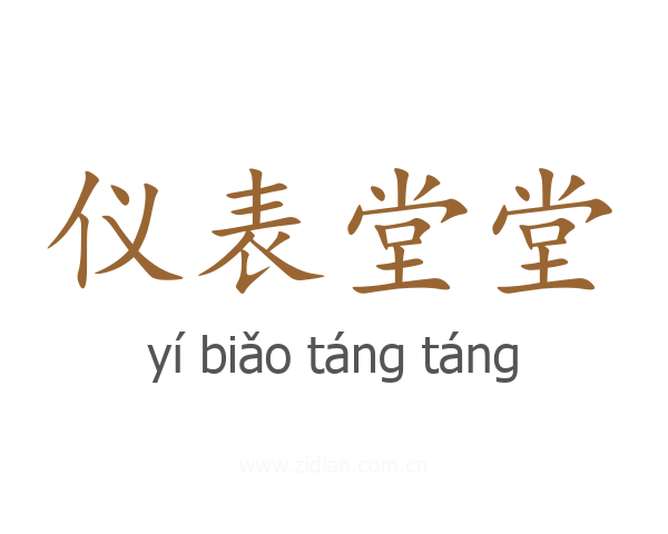 仪表堂堂